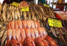 Invita Sader a consumir productos locales del mar y del campo durante la temporada de Cuaresma / Por Alicia Valverde